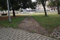 Bild: Trampelpfade, Unkrautdschungel