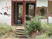 Bild: 