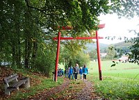 Bild: Viel Arbeit im Ilfelder Ahornpark