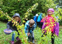 Bild: Viel Arbeit im Ilfelder Ahornpark
