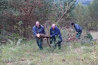 Bild: Freiwilligeneinsatz am Gr&uuml;nen Band