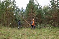 Bild: Freiwilligeneinsatz am Gr&uuml;nen Band