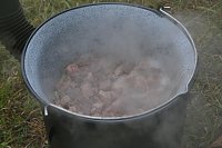 Bild: Freiwilligeneinsatz am Gr&uuml;nen Band