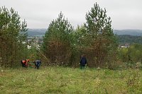 Bild: Freiwilligeneinsatz am Gr&uuml;nen Band