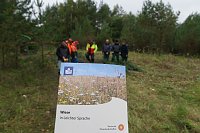 Bild: Freiwilligeneinsatz am Gr&uuml;nen Band