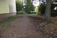 Bild: Der Trampelpfad in der Hardenbergstra&szlig;e ist nicht nur  f&uuml;r  Wohnungswart Paetzold ein &Auml;rgernis. B&uuml;sche in Dreierreihen sollen Abhilfe schaffen
