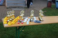 Bild: Stadtparklauf