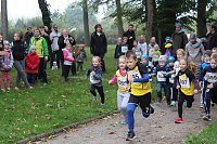 Bild: Stadtparklauf