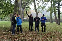 Bild: Stadtparklauf