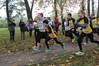 Bild: Stadtparklauf