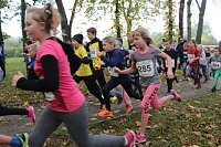 Bild: Stadtparklauf