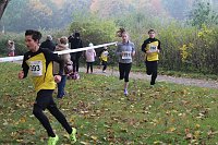 Bild: Stadtparklauf