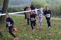 Bild: Stadtparklauf
