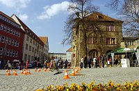 Rathausplatz Bild: Rathausplatz