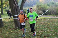 Bild: Die langen Strecken beim Stadtparklauf