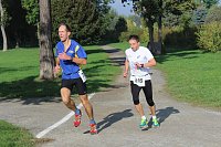 Bild: Die langen Strecken beim Stadtparklauf