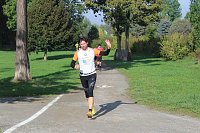 Bild: Die langen Strecken beim Stadtparklauf
