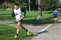 Bild: Die langen Strecken beim Stadtparklauf