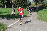 Bild: Die langen Strecken beim Stadtparklauf