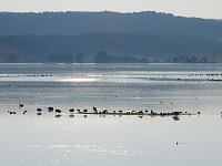 Bild: Herbstspaziergang