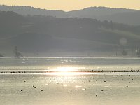 Bild: Herbstspaziergang