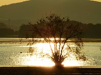 Bild: Herbstspaziergang
