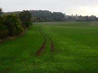 Bild: Unterwegs in und um R&uuml;disgdorf