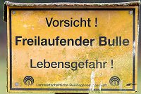 Bild: Unterwegs in und um R&uuml;disgdorf