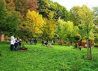 Bild: Bunte Stiefel im Ahornpark Ilfeld