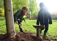 Bild: Bunte Stiefel im Ahornpark Ilfeld
