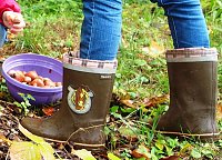 Bild: Bunte Stiefel im Ahornpark Ilfeld