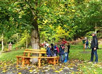 Bild: Bunte Stiefel im Ahornpark Ilfeld