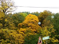 Bild: Unterwegs im sch&ouml;nen Harz