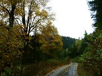 Bild: Unterwegs im sch&ouml;nen Harz