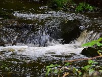 Bild: Unterwegs im sch&ouml;nen Harz