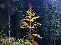 Bild: Unterwegs im sch&ouml;nen Harz