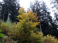 Bild: Unterwegs im sch&ouml;nen Harz
