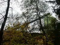 Bild: Unterwegs im sch&ouml;nen Harz