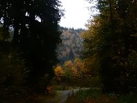 Bild: Unterwegs im sch&ouml;nen Harz