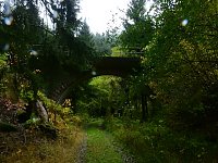 Bild: Unterwegs im sch&ouml;nen Harz
