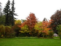 Bild: Herbstliche Impressionen