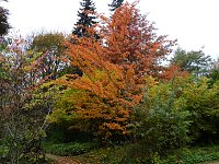 Bild: Herbstliche Impressionen