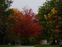 Bild: Herbstliche Impressionen