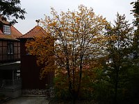 Bild: Herbstliche Impressionen