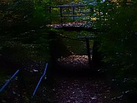 Bild: Herbstliche Impressionen