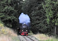 Bild: Unterwegs in Sophienhof