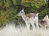 Bild: Unterwegs in Sophienhof