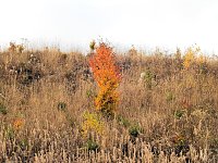 Bild: Unterwegs in Sophienhof