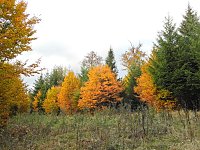 Bild: Unterwegs in Sophienhof