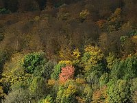 Bild: Unterwegs in Sophienhof